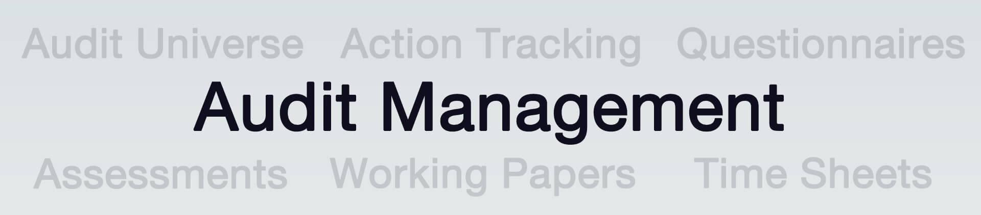 Audit Management Software