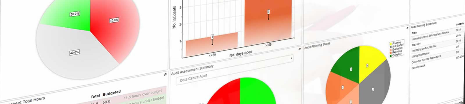 Example Risk and Audit reports